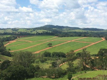 Terreno - Venda - Lima Rico - Tuiuti - SP